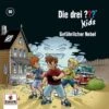 Die Drei ??? Kids 80 - Gefährlicher Nebel