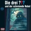 CD Die Drei ??? 162 - Und Der Schreiende Nebel