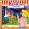 CD Bibi & Tina 87 - Das Große Unwetter